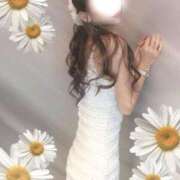 ヒメ日記 2025/08/17 06:12 投稿 セリ 京都デリヘル倶楽部