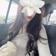 ヒメ日記 2025/09/20 13:25 投稿 セリ 京都デリヘル倶楽部