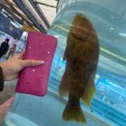 ヒメ日記 2025/02/03 14:21 投稿 ミリア 京都デリヘル倶楽部