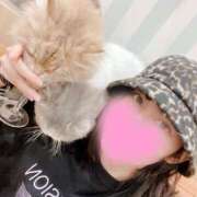 ヒメ日記 2025/07/24 00:56 投稿 ミリア 京都デリヘル倶楽部