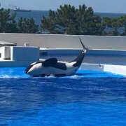 ヒメ日記 2025/08/03 00:26 投稿 ミリア 京都デリヘル倶楽部