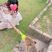 ヒメ日記 2025/09/23 17:36 投稿 ミリア 京都デリヘル倶楽部