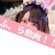 ヒメ日記 2026/06/13 00:14 投稿 ミリア 京都デリヘル倶楽部