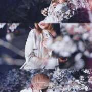 ヒメ日記 2025/04/09 22:01 投稿 えりな 京都デリヘル倶楽部