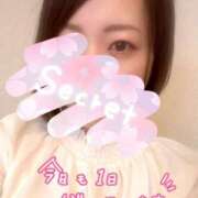 ヒメ日記 2025/04/19 08:53 投稿 まりか 京都デリヘル倶楽部