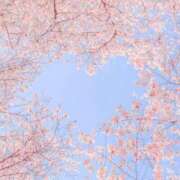 ヒメ日記 2026/03/28 12:42 投稿 かりな 出会い系人妻ネットワーク さいたま～大宮編