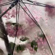 ヒメ日記 2026/04/02 11:52 投稿 かりな 出会い系人妻ネットワーク さいたま～大宮編