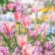 ヒメ日記 2026/04/30 11:49 投稿 かりな 出会い系人妻ネットワーク さいたま～大宮編