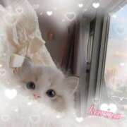 ヒメ日記 2025/06/20 13:54 投稿 かりな 出会い系人妻ネットワーク 春日部〜岩槻編