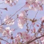 ヒメ日記 2026/02/15 12:14 投稿 かりな 出会い系人妻ネットワーク 春日部〜岩槻編