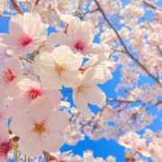 ヒメ日記 2026/03/04 13:04 投稿 かりな 出会い系人妻ネットワーク 春日部〜岩槻編