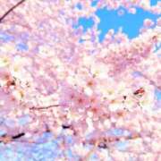 ヒメ日記 2026/03/21 12:04 投稿 かりな 出会い系人妻ネットワーク 春日部〜岩槻編