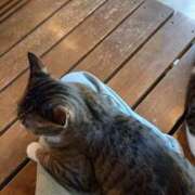 ヒメ日記 2025/08/27 23:48 投稿 うみ 熟女の風俗最終章 高崎店