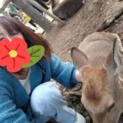 ヒメ日記 2025/11/23 22:54 投稿 うみ 熟女の風俗最終章 高崎店