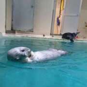 ヒメ日記 2026/04/04 07:28 投稿 うみ 熟女の風俗最終章 高崎店