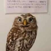 ヒメ日記 2026/05/18 17:28 投稿 うみ 熟女の風俗最終章 高崎店