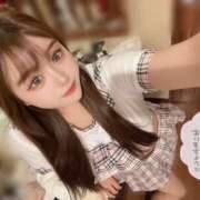 ヒメ日記 2024/12/26 14:24 投稿 シロップ きらめけ！にゃんにゃん学園in大宮