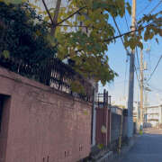 ヒメ日記 2024/12/15 12:56 投稿 りお ラブハーレム(水戸)