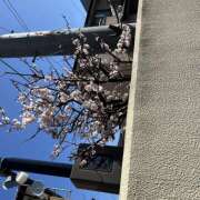 ヒメ日記 2025/03/13 11:41 投稿 りお ラブハーレム(水戸)