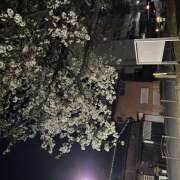 ヒメ日記 2025/04/08 00:53 投稿 りお ラブハーレム(水戸)