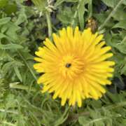 ヒメ日記 2025/04/18 11:24 投稿 りお ラブハーレム(水戸)