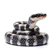 ヒメ日記 2025/07/01 16:54 投稿 りお ラブハーレム(水戸)