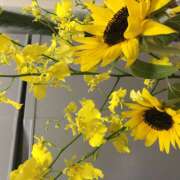 ヒメ日記 2025/07/24 23:18 投稿 りお ラブハーレム(水戸)