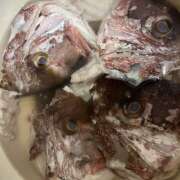 ヒメ日記 2025/08/01 01:20 投稿 りお ラブハーレム(水戸)