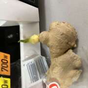 ヒメ日記 2025/08/09 01:09 投稿 りお ラブハーレム(水戸)