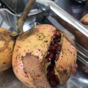 ヒメ日記 2025/11/22 14:53 投稿 りお ラブハーレム(水戸)