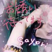 ヒメ日記 2025/05/10 00:10 投稿 サヨリ ドMな奥様 大阪本店