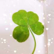 ヒメ日記 2025/05/26 12:12 投稿 みやび 奥様メモリアル