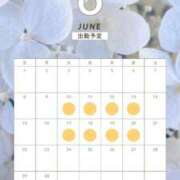 ヒメ日記 2025/05/31 16:33 投稿 みやび 奥様メモリアル