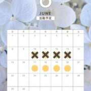 ヒメ日記 2025/06/15 21:42 投稿 みやび 奥様メモリアル