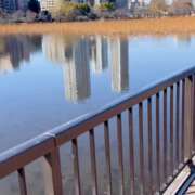 ヒメ日記 2025/02/26 14:30 投稿 えりか 玉乱☆痴（たまらんち）