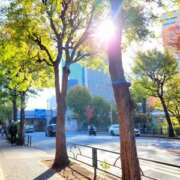 ヒメ日記 2025/06/12 10:40 投稿 えりか 玉乱☆痴（たまらんち）