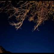 ヒメ日記 2025/06/14 18:40 投稿 えりか 玉乱☆痴（たまらんち）