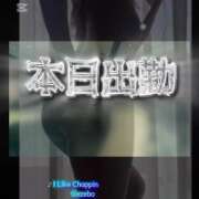 ヒメ日記 2026/03/26 10:37 投稿 えりか 玉乱☆痴（たまらんち）