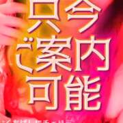 えりか ただ今ご案内可能 玉乱☆痴（たまらんち）