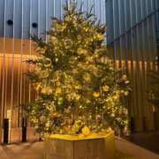 ヒメ日記 2024/12/24 04:23 投稿 春風(はるかぜ) 人妻出逢い会 百合の園 池袋店