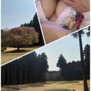 ヒメ日記 2025/03/28 05:43 投稿 春風(はるかぜ) 人妻出逢い会 百合の園 池袋店