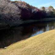 ヒメ日記 2025/11/25 07:03 投稿 春風(はるかぜ) 人妻出逢い会 百合の園 池袋店