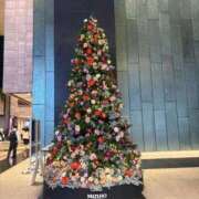 ヒメ日記 2025/12/15 09:23 投稿 春風(はるかぜ) 人妻出逢い会 百合の園 池袋店