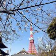 ヒメ日記 2026/03/24 10:43 投稿 春風(はるかぜ) 人妻出逢い会 百合の園 池袋店