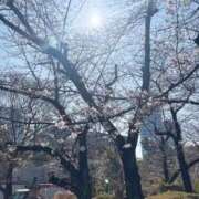 ヒメ日記 2026/03/30 05:53 投稿 春風(はるかぜ) 人妻出逢い会 百合の園 池袋店