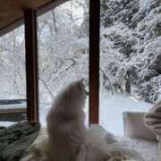 かなこ 【1月の予定】 上野ハイブリッドマッサージ