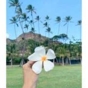 ヒメ日記 2024/12/29 18:00 投稿 るる(人妻) THE・TRY