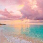 ヒメ日記 2025/04/16 10:30 投稿 るる(人妻) THE・TRY