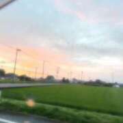 ヒメ日記 2025/06/30 09:00 投稿 るる(人妻) THE・TRY