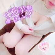 ヒメ日記 2024/12/31 15:06 投稿 ゆあ ぷるるんマダム 難波店